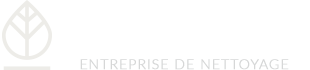 logo nettoyage services evolution2